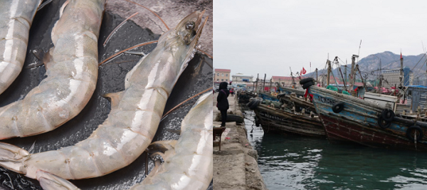 建造一個海鮮冷庫多少錢？